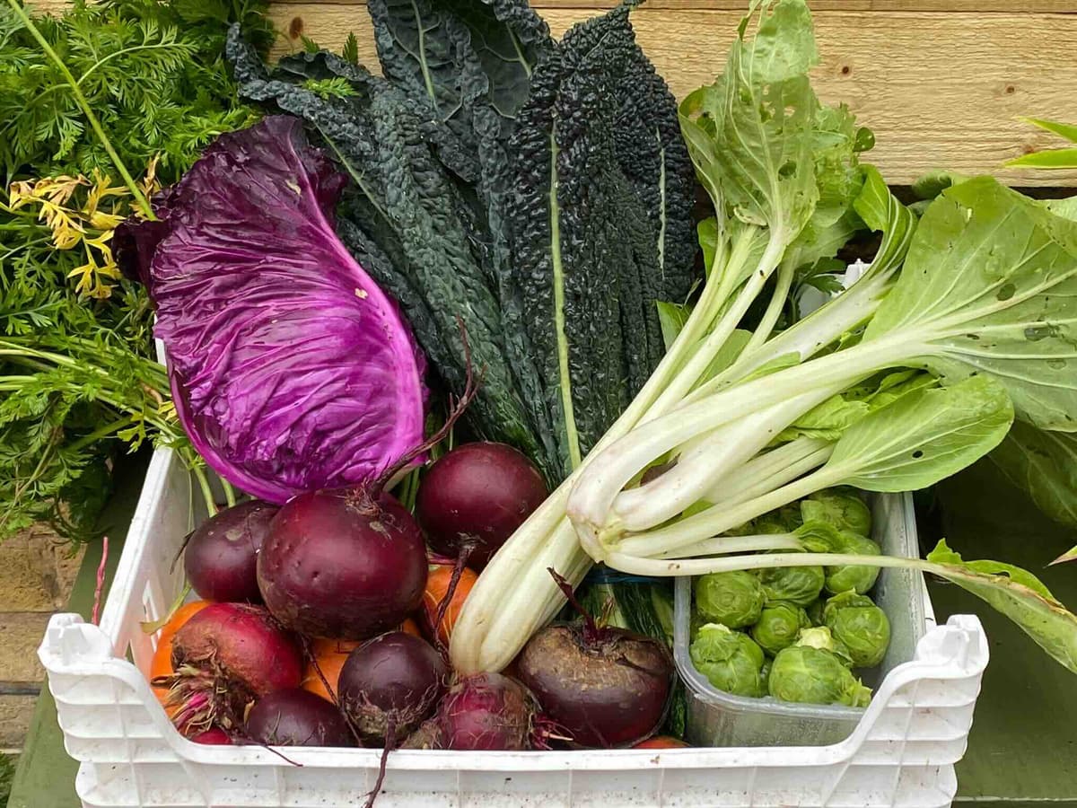 Event at the allotments