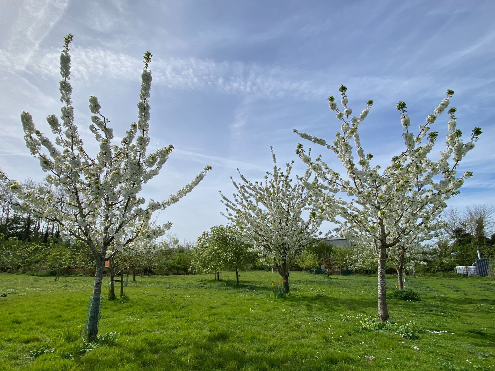 Facilities at the allotments